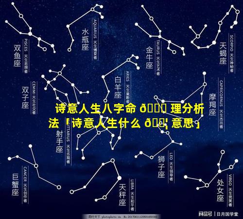 诗意人生八字命 🐎 理分析法「诗意人生什么 🐦 意思」